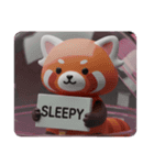 レッサーパンダカプセルトイ(四角型)（個別スタンプ：5）