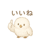 ふわふわフクロウのごあいさつ（個別スタンプ：11）