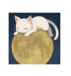 ムーンライトキャット：ふしぎな夜2（個別スタンプ：4）