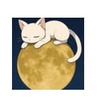 ムーンライトキャット：ふしぎな夜2（個別スタンプ：5）