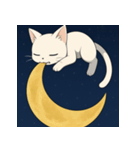 ムーンライトキャット：ふしぎな夜2（個別スタンプ：7）