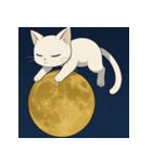 ムーンライトキャット：ふしぎな夜2（個別スタンプ：8）