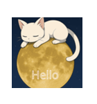 ムーンライトキャット：ふしぎな夜（個別スタンプ：1）