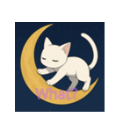 ムーンライトキャット：ふしぎな夜（個別スタンプ：5）