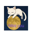 ムーンライトキャット：ふしぎな夜（個別スタンプ：7）