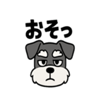 えもじりシュナ 〜顔で語る犬〜（個別スタンプ：1）