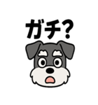 えもじりシュナ 〜顔で語る犬〜（個別スタンプ：2）