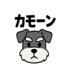 えもじりシュナ 〜顔で語る犬〜（個別スタンプ：3）