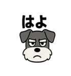 えもじりシュナ 〜顔で語る犬〜（個別スタンプ：6）