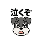 えもじりシュナ 〜顔で語る犬〜（個別スタンプ：7）