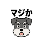 えもじりシュナ 〜顔で語る犬〜（個別スタンプ：8）