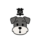 えもじりシュナ 〜顔で語る犬〜（個別スタンプ：10）