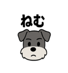 えもじりシュナ 〜顔で語る犬〜（個別スタンプ：15）