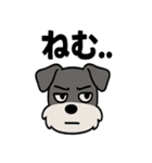えもじりシュナ 〜顔で語る犬〜（個別スタンプ：16）