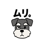 えもじりシュナ 〜顔で語る犬〜（個別スタンプ：23）