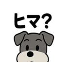 えもじりシュナ 〜顔で語る犬〜（個別スタンプ：30）