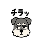 えもじりシュナ 〜顔で語る犬〜（個別スタンプ：32）