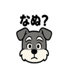 えもじりシュナ 〜顔で語る犬〜（個別スタンプ：33）