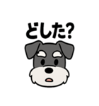 えもじりシュナ 〜顔で語る犬〜（個別スタンプ：34）