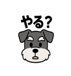 えもじりシュナ 〜顔で語る犬〜（個別スタンプ：40）