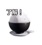 【おしゃべり用】白飯（個別スタンプ：2）