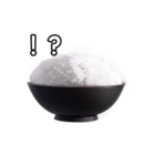 【おしゃべり用】白飯（個別スタンプ：17）