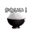 【おしゃべり用】白飯（個別スタンプ：20）