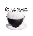 【おしゃべり用】白飯（個別スタンプ：21）