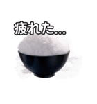 【おしゃべり用】白飯（個別スタンプ：31）