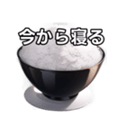 【おしゃべり用】白飯（個別スタンプ：34）