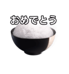 【おしゃべり用】白飯（個別スタンプ：37）