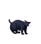 【スタンプアレンジ用】ねこ（個別スタンプ：6）