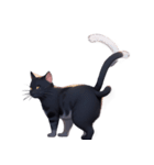 【スタンプアレンジ用】ねこ（個別スタンプ：10）