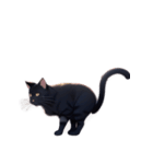 【スタンプアレンジ用】ねこ（個別スタンプ：24）