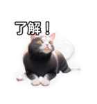【おしゃべり用】ねこ（個別スタンプ：2）