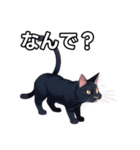 【おしゃべり用】ねこ（個別スタンプ：5）