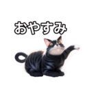 【おしゃべり用】ねこ（個別スタンプ：7）