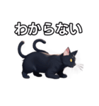 【おしゃべり用】ねこ（個別スタンプ：30）