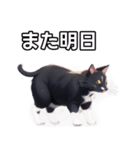 【おしゃべり用】ねこ（個別スタンプ：32）