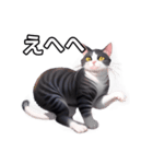 【おしゃべり用】ねこ（個別スタンプ：36）