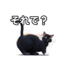 【おしゃべり用】ねこ（個別スタンプ：39）
