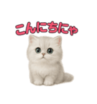 子ネコverペルシャ（個別スタンプ：2）