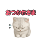 子ネコverペルシャ（個別スタンプ：7）
