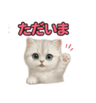 子ネコverペルシャ（個別スタンプ：8）