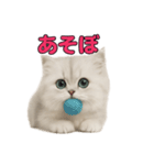 子ネコverペルシャ（個別スタンプ：10）