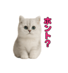 子ネコverペルシャ（個別スタンプ：22）