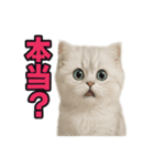 子ネコverペルシャ（個別スタンプ：25）