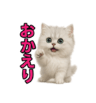 子ネコverペルシャ（個別スタンプ：29）