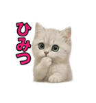 子ネコverペルシャ（個別スタンプ：32）