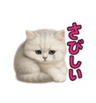 子ネコverペルシャ（個別スタンプ：33）